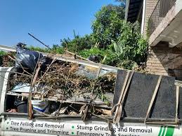 Best Property Management Cleanouts  in Henderson, GA
