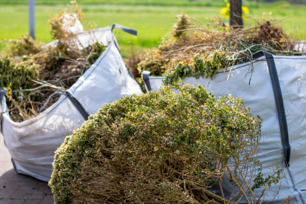 Professional Junk Removal Services in Henderson, GA
