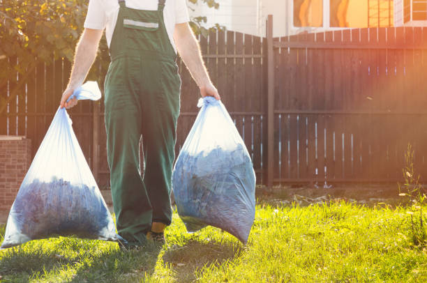 Best Carpet Removal and Disposal  in Henderson, GA